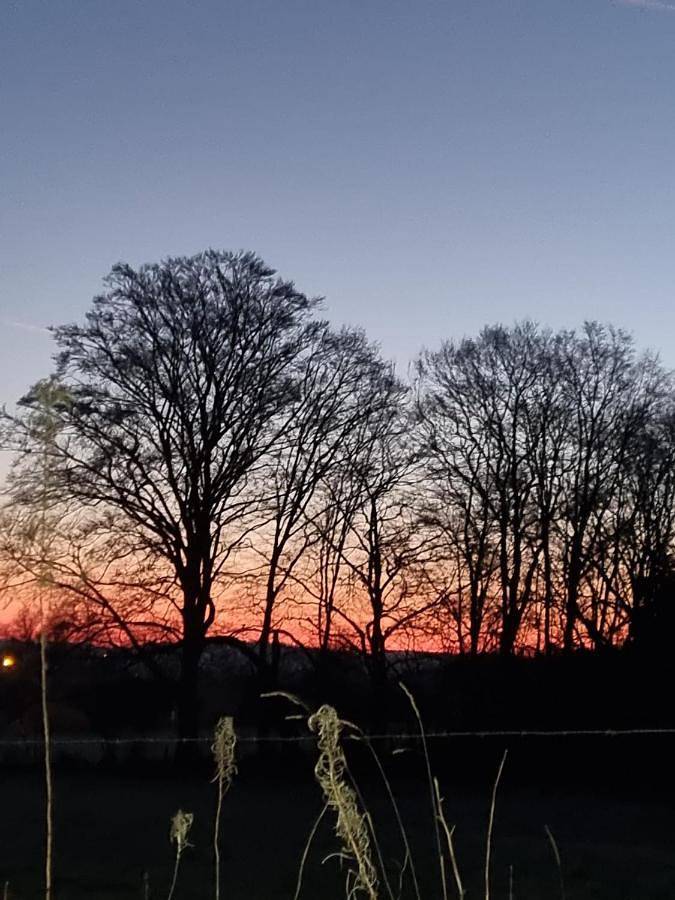 Location de vacances pour 2 personnes, avec jardin et sauna ainsi que jacuzzi et terrasse à Paliseul - 2