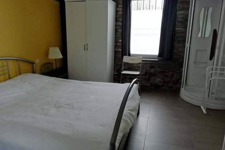 Location de vacances pour 12 personnes, avec sauna et jardin ainsi que jacuzzi et terrasse, animaux acceptés à Paliseul - 2