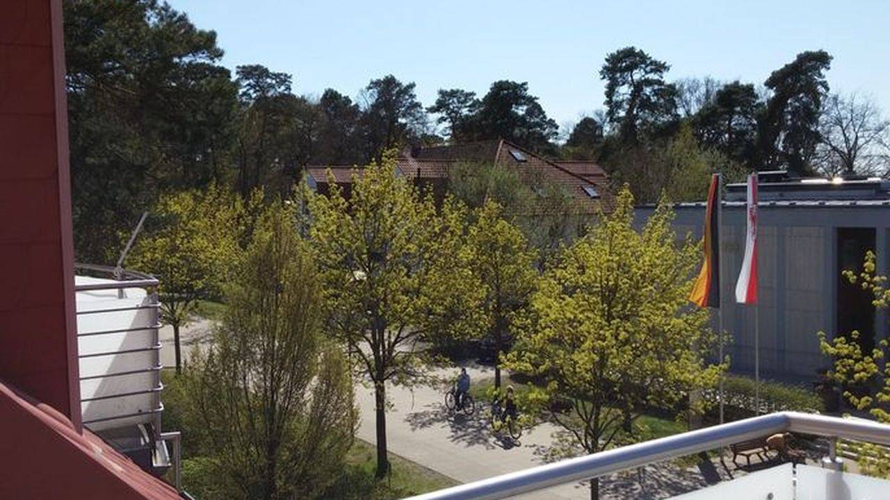 Apartamento vacacional entero, Ferienwohnung für 3 Personen (52 m²) in Bad Saarow in Bad Saarow, Dahme-Seengebiet