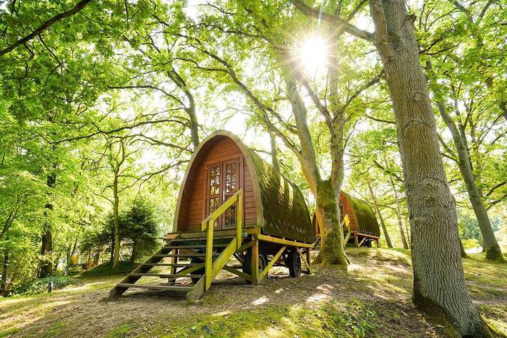 Hütte für 2 Personen in Mecklenburgische Seenplatte - 4