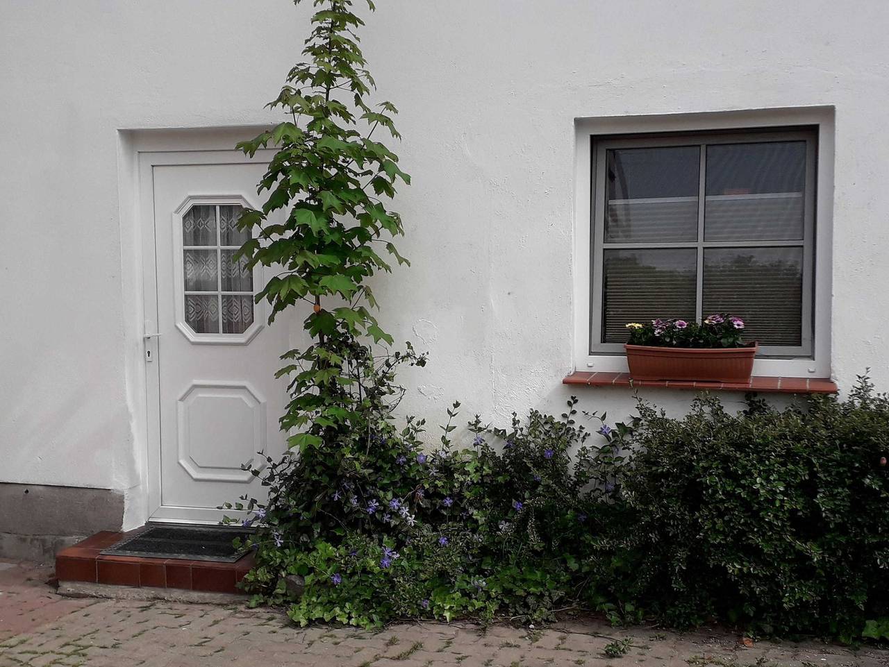 Ganze Ferienwohnung, Ferienwohnungen in der Vinetastadt Barth in Barth, Vorpommern