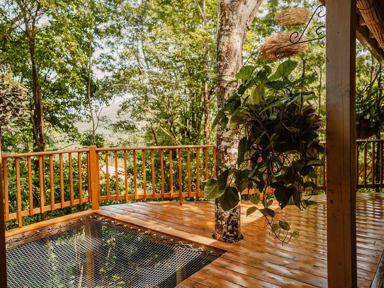 Cabane Aux Etoiles Au Jardin des Colibris (Sternenhütte im Garten der Hummingbi in Deshaies, Guadeloupe