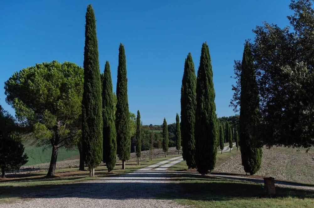 Villa for 10 Guests in Siena, Siena Province
