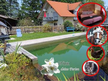 Hütte für 6 Personen, mit Pool und Garten sowie Terrasse und Sauna, kinderfreundlich in Baden-Württemberg