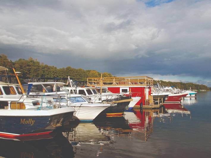 Ferienhaus für 8 Personen, mit Garten und Balkon, kinderfreundlich in Buchholz - 4