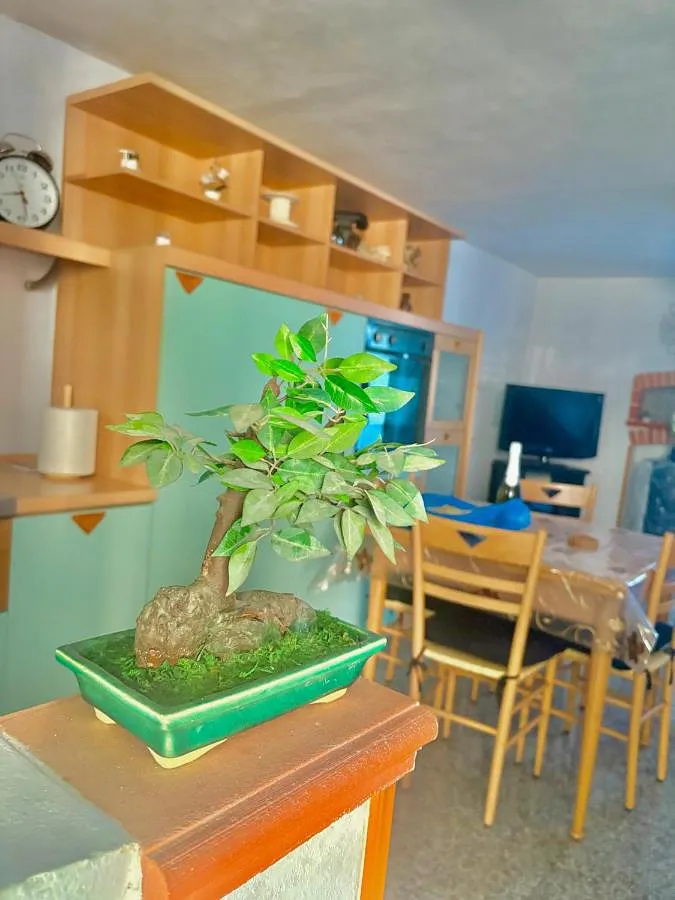 Maison de vacances pour 4 personnes, avec vue et balcon, animaux acceptés - 1