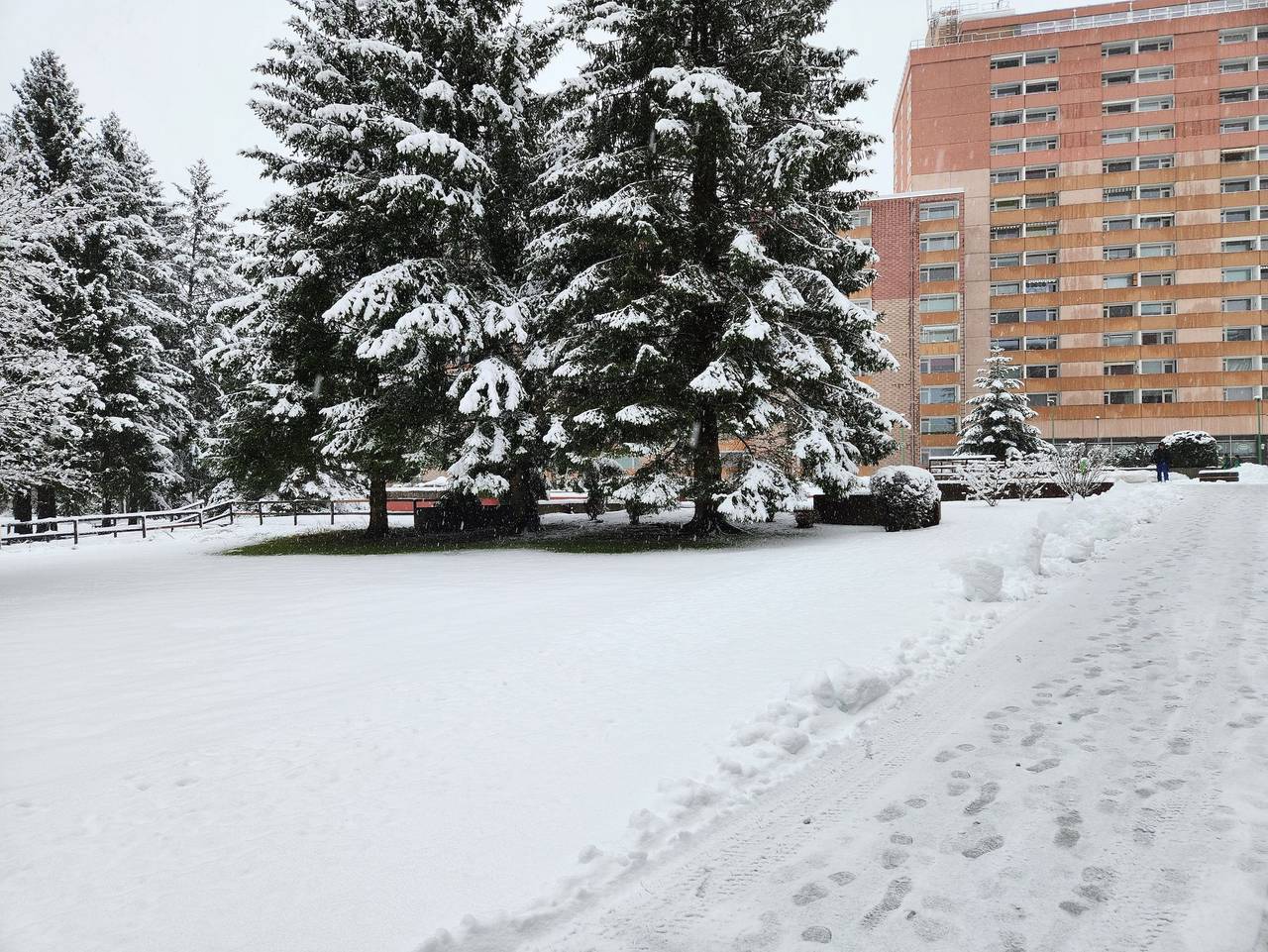 Ganze Ferienwohnung, Traumblick in Altenau, Harzvorland