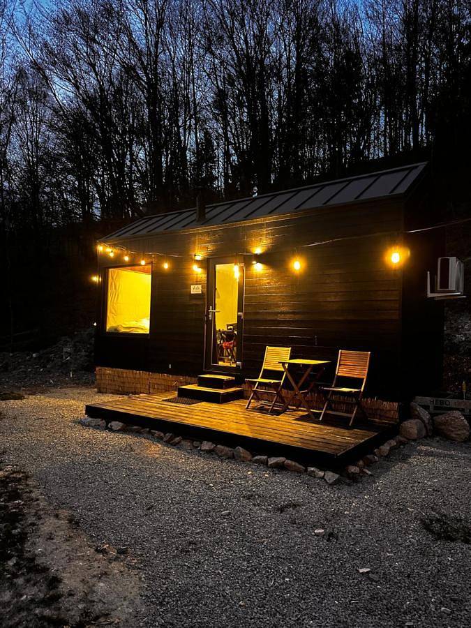 Togethernest - Ash in Alba (Romania)