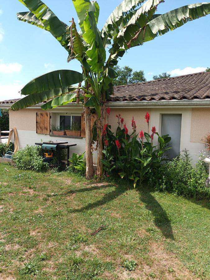 Location de vacances pour 3 personnes, avec terrasse et vue, animaux acceptés à Saint-Avit-Saint-Nazaire - 4