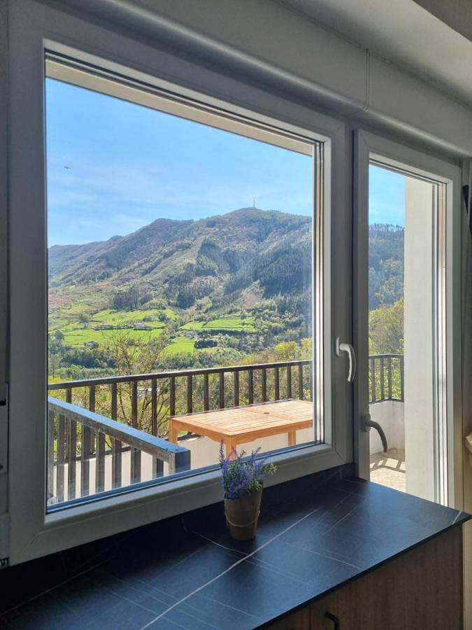 Apartamento de vacaciones para 6 personas, con jardín además de terraza y vistas en Debabarrena - 3