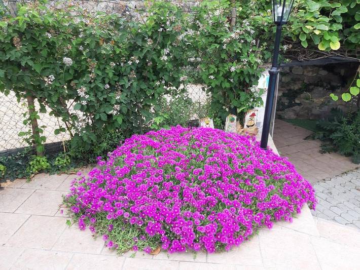 Gîte pour 6 personnes, avec jardin et piscine à Les Mages - 3