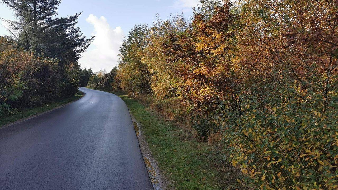 Ferienhaus für 6 Personen (62 m²) in Henne in Henne, Varde