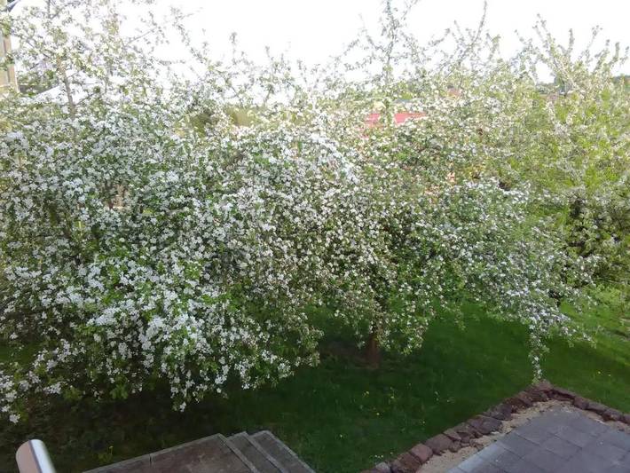 Gîte pour 3 personnes, avec vue et jardin à Ralingen - 3