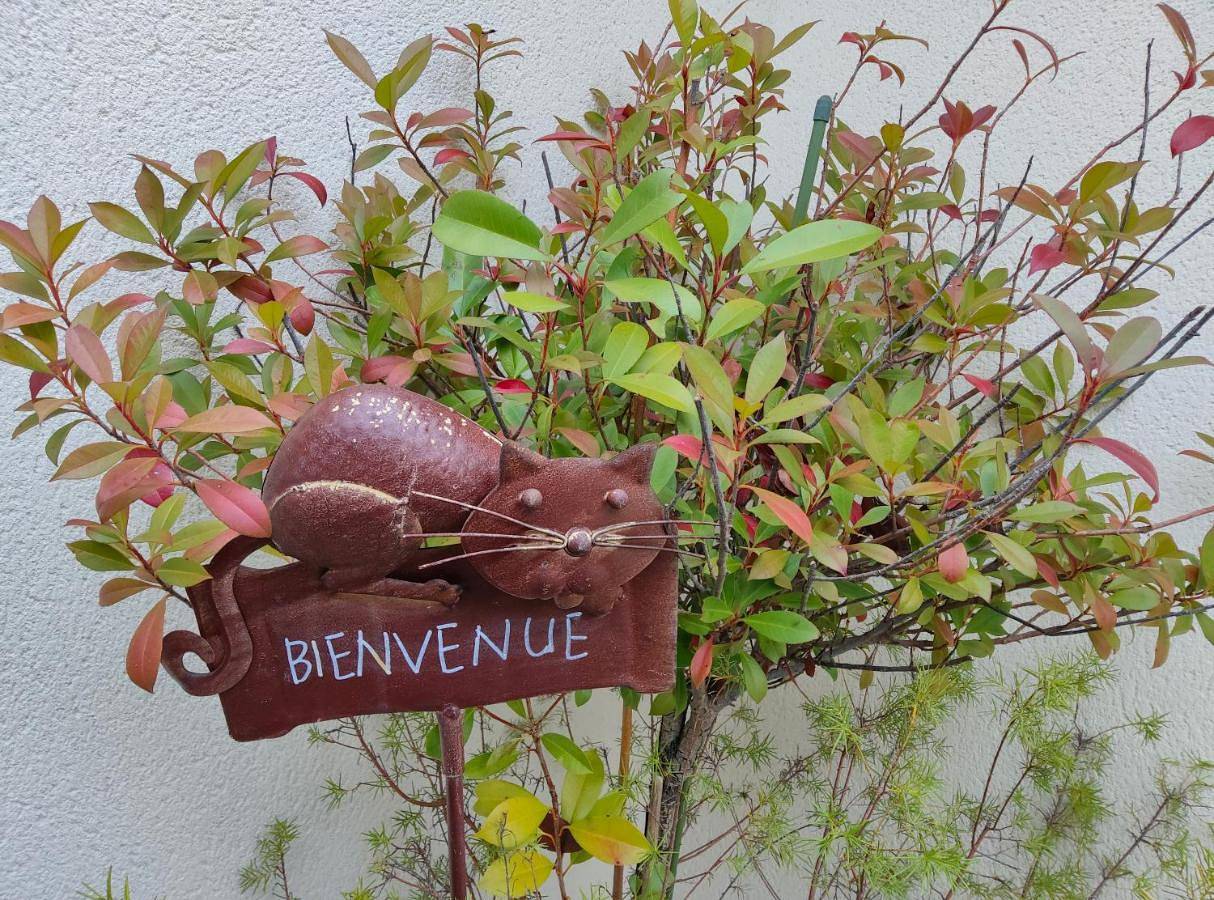 Du Côté de Chez Paule, chambre avec entrée indépendante et salle d'eau privative in Séméac, Hautes-Pyrénées