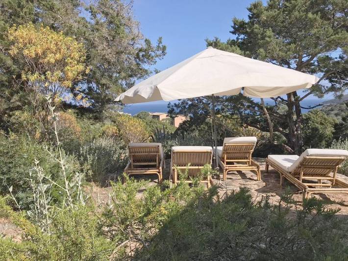 Chambre d’hôte pour 2 personnes, avec vue ainsi que terrasse et jardin, animaux acceptés en Toscane - 4