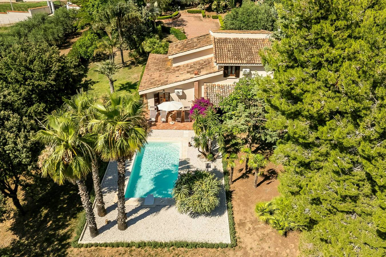 Villa zwischen Olivenbäumen am Golf von Castellammare in Partinico, Palermo Provinz