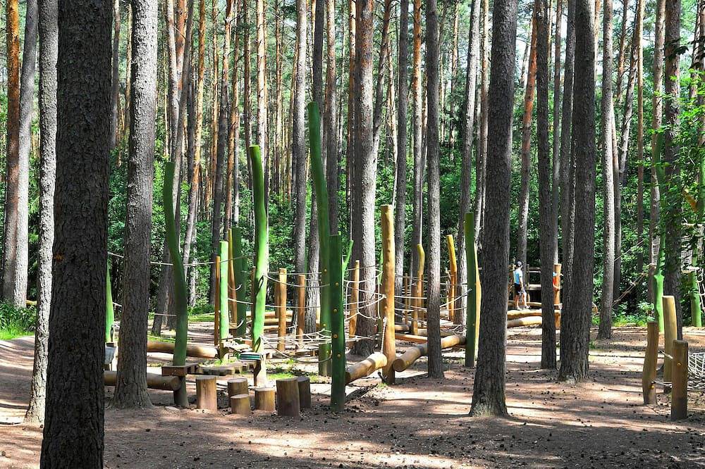 Waldcamping am Brombachsee in Pleinfeld, Fränkisches Seenland