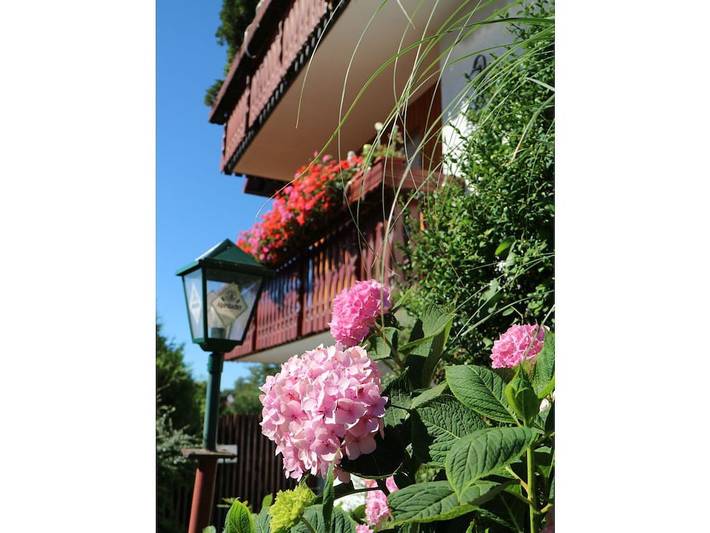 Gîte pour 2 personnes, avec jardin à Freudenstadt - 4