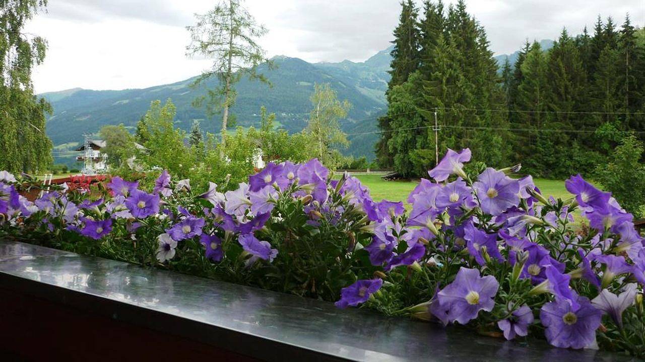 Ganze Ferienwohnung, Ferienwohnung für 2 Personen (30 m²) in Ramsau am Dachstein in Ramsau am Dachstein, Schladming-Dachstein