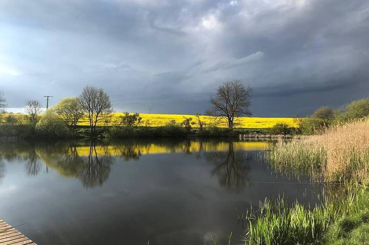 Ferienwohnung für 4 Personen, mit Haustier in Laage - 3