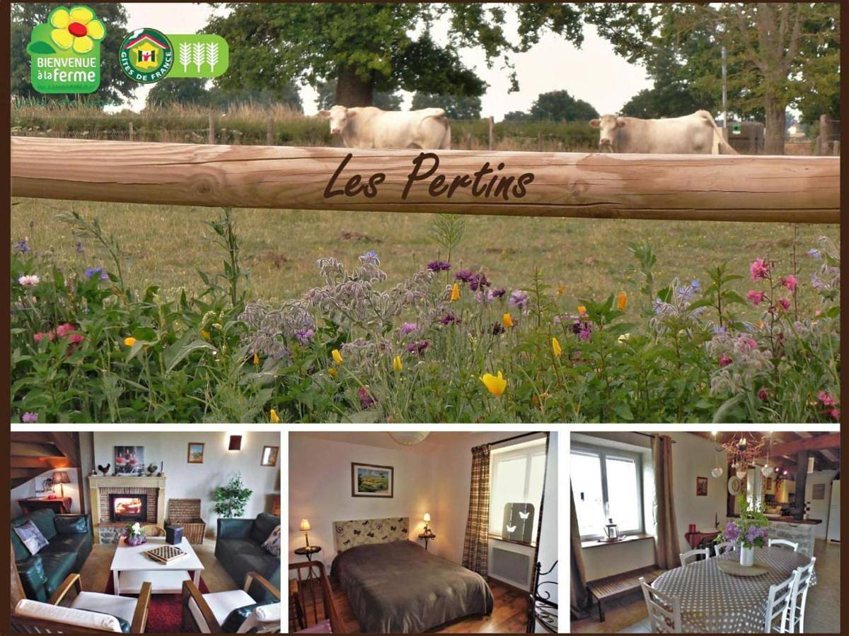 Gîte champêtre avec climatisation et jardin en Auvergne - Fr-1-489-227 in Le Bouchaud, Région de Vichy
