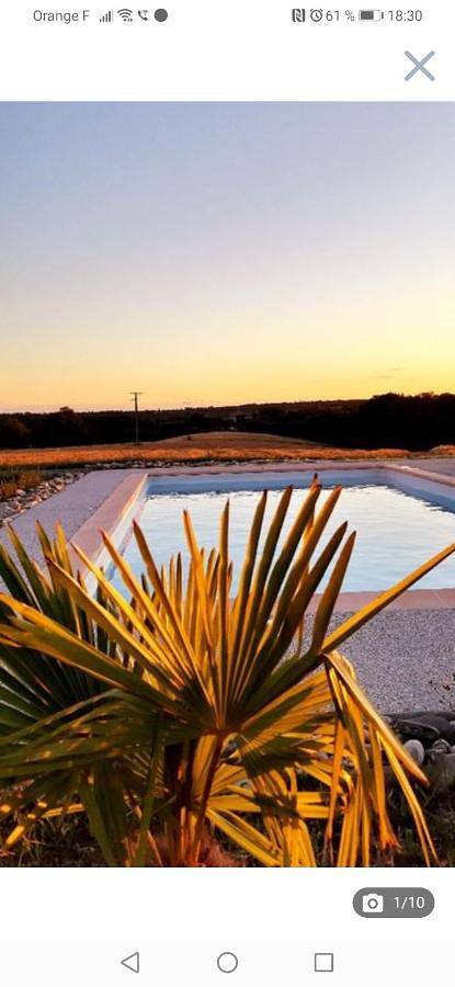 Location de vacances pour 10 personnes, avec piscine ainsi que vue et jardin à Cagnac-les-Mines - 2