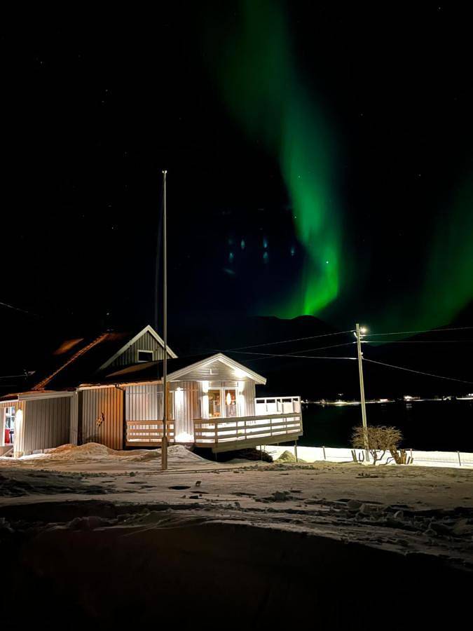 Ferienhaus für 4 Personen, mit Garten und Ausblick, mit Haustier in Lyngen