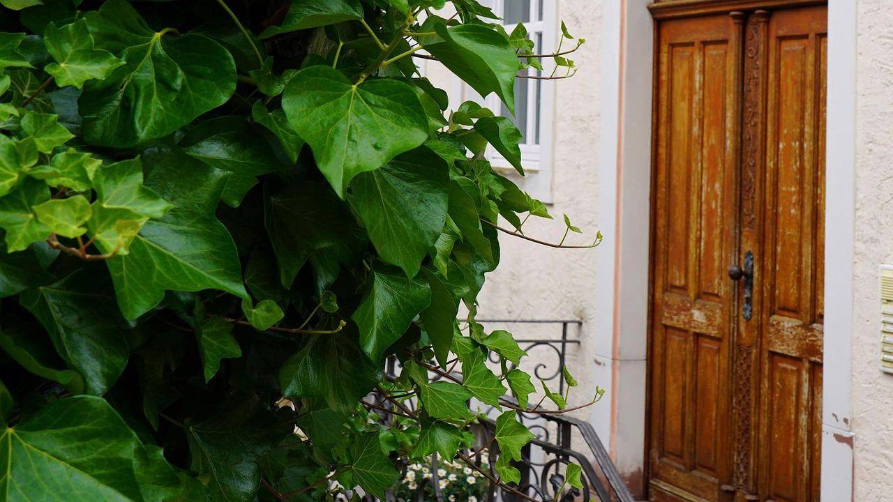 Ganze Ferienwohnung, Ferienwohnung für 4 Personen (90 m²) in Neuerburg in Neuerburg, Eifelkreis Bitburg-Prüm