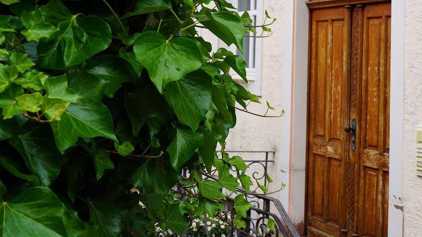 Ferienwohnung für 4 Personen, kinderfreundlich - 1