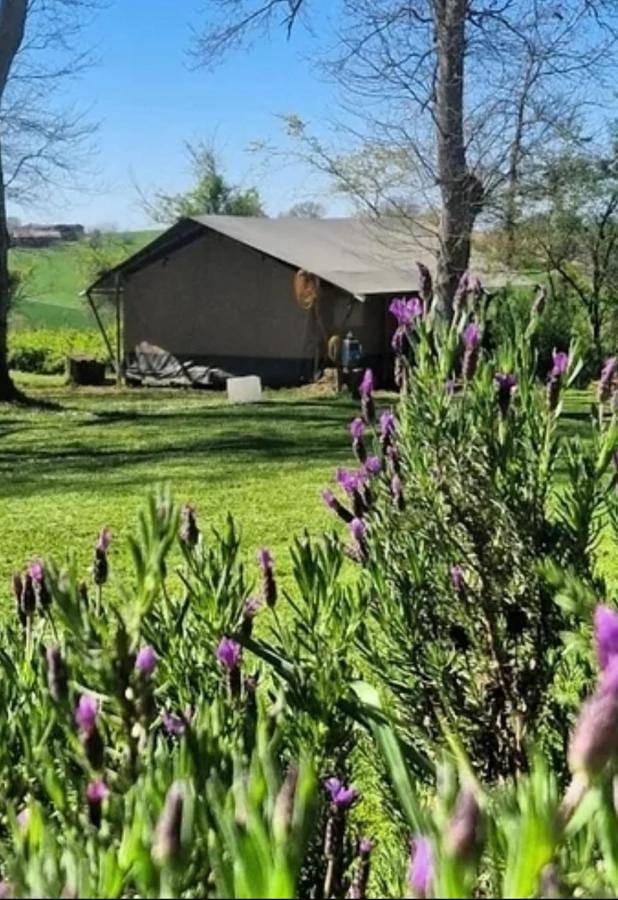 Gîte pour 4 personnes, avec jardin ainsi que vue et piscine à Margouët-Meymes - 3
