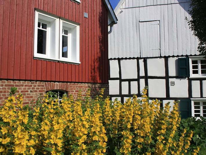 Ferienhaus für 6 Personen, mit Terrasse und Garten in Reichshof - 2