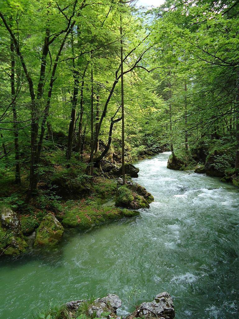 Ganze Ferienwohnung, Pension Seiwald in Golling an der Salzach, Tennengau