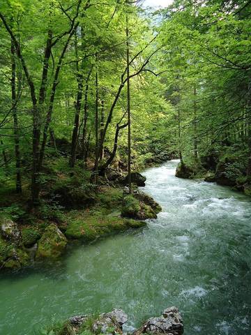 Lägenhet för 4 Personer i Golling an der Salzach, Land Salzburg, Bild 2