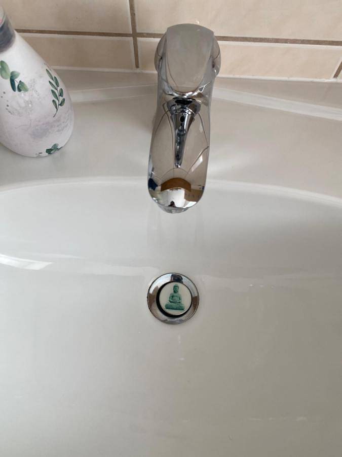 Ferienwohnung für 4 Personen, mit Sauna und Garten, mit Haustier in Markkleeberg - 4