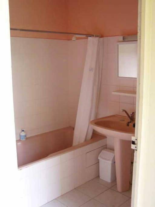 Location de vacances pour 17 personnes, avec vue et jardin ainsi que piscine et terrasse à Tonneins - 3