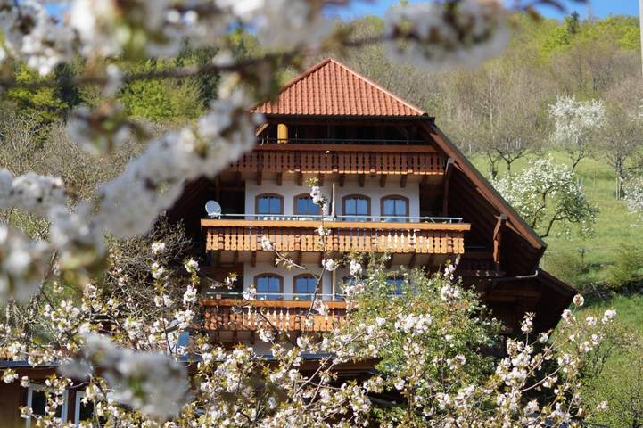 Hôtel pour 5 personnes, avec balcon et vue, animaux acceptés