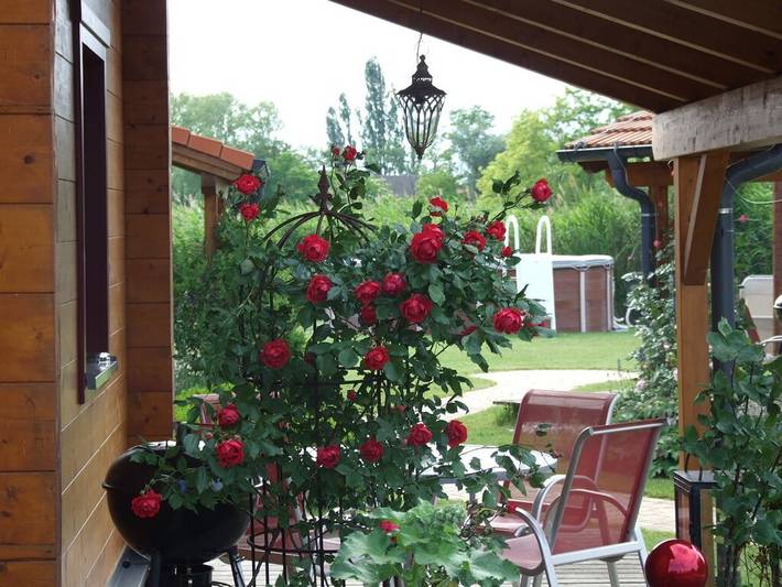 Ferienhaus mit 2 Schlafzimmer in Sankt Andrä am Zicksee, Neusiedlersee-Hügelland