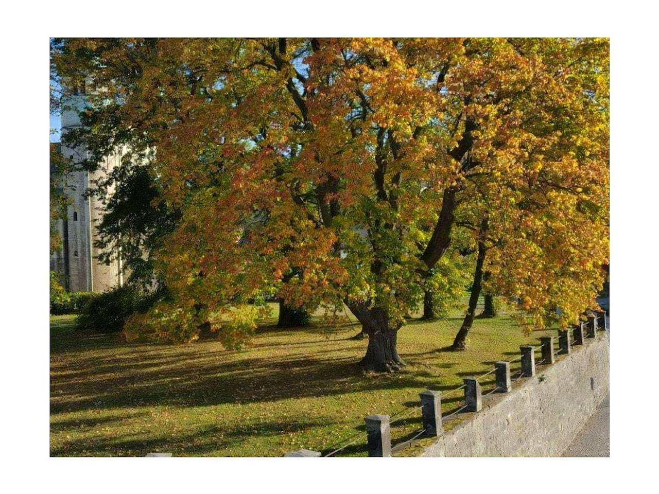 Stiftsblick Comfortable holiday residence in Quedlinburg, Harzvorland