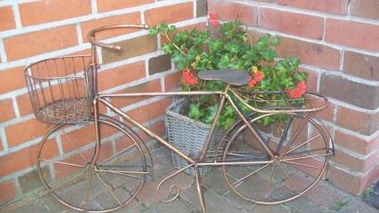 Ferienwohnung für 4 Personen in Heede, Emsland, Bild 3