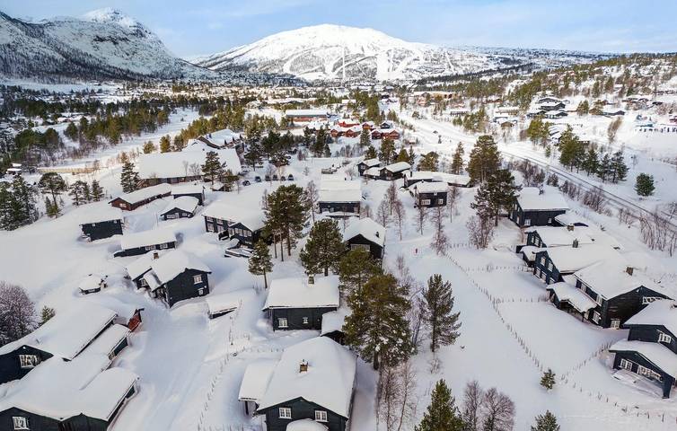 Ganze Ferienwohnung, Ferienwohnung für 4 Personen mit Garten in Hovden, Bykle