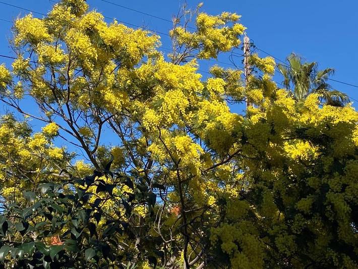 Chambre d’hôte pour 2 personnes, avec jardin et terrasse à Marseille - 4
