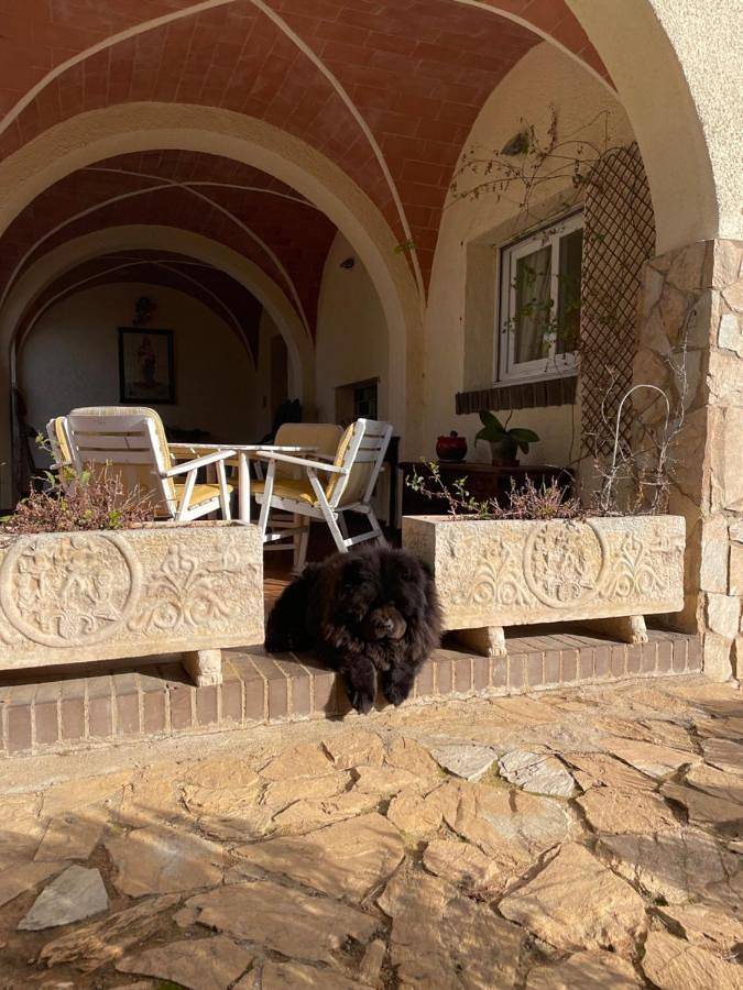 Location de vacances pour 10 personnes, avec Balcon et Terrasse ainsi que Jardin et Piscine à Garriguella - 3
