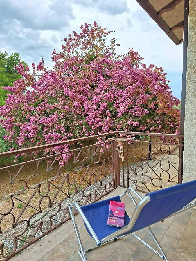 Location de vacances pour 4 personnes, avec jardin et vue à Mozzagrogna