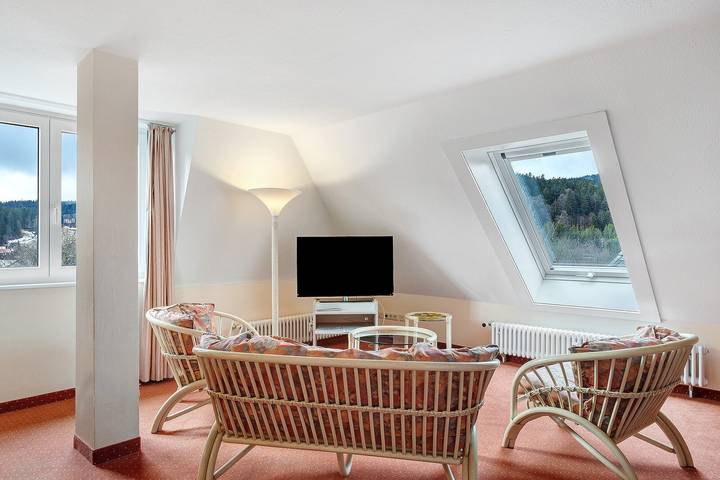 Ganze Wohnung, Apartment '9' mit Wlan in Hinterzarten, Südschwarzwald