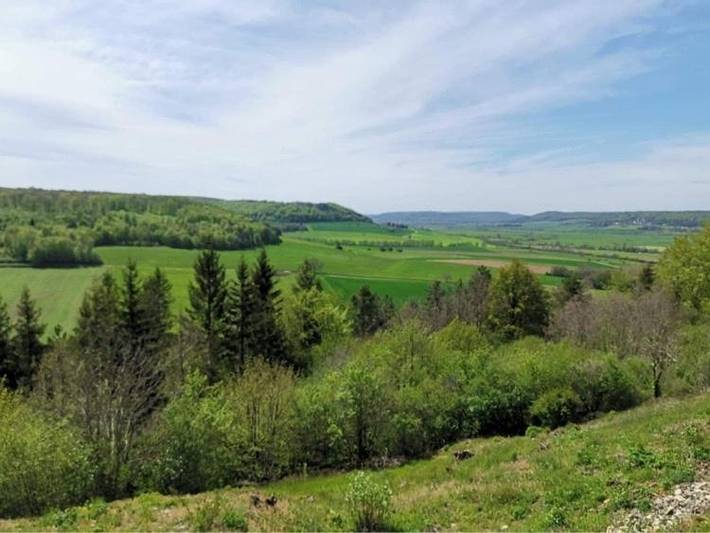 Chambre d’hôte pour 2 personnes, avec jardin et vue dans les Vosges - 2