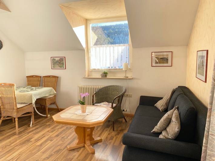 Gîte pour 4 personnes, avec balcon à Schramberg