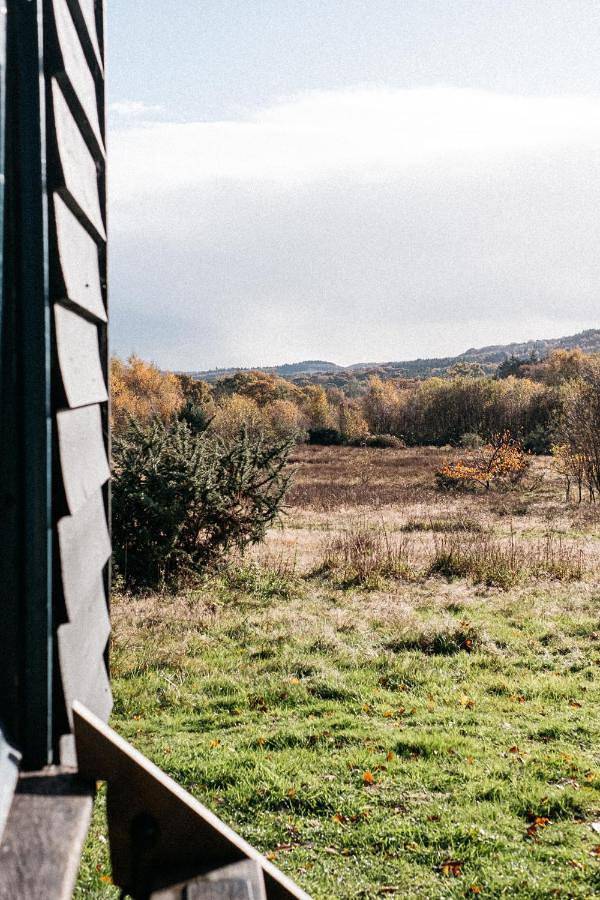 Beautiful, Secluded Shepherd's Hut in the National Park in Rogate, South Downs
