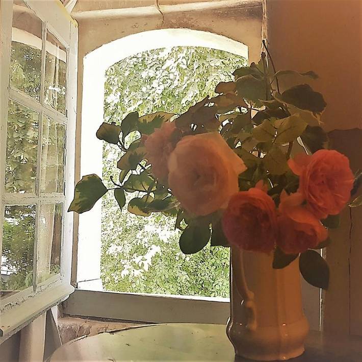 Location de vacances pour 2 personnes, avec vue ainsi que terrasse et jardin à Prunay-Cassereau - 4