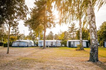 Camping voor 6 Personen in Bergen (Limburg), Nationaal Park De Maasduinen, Afbeelding 3