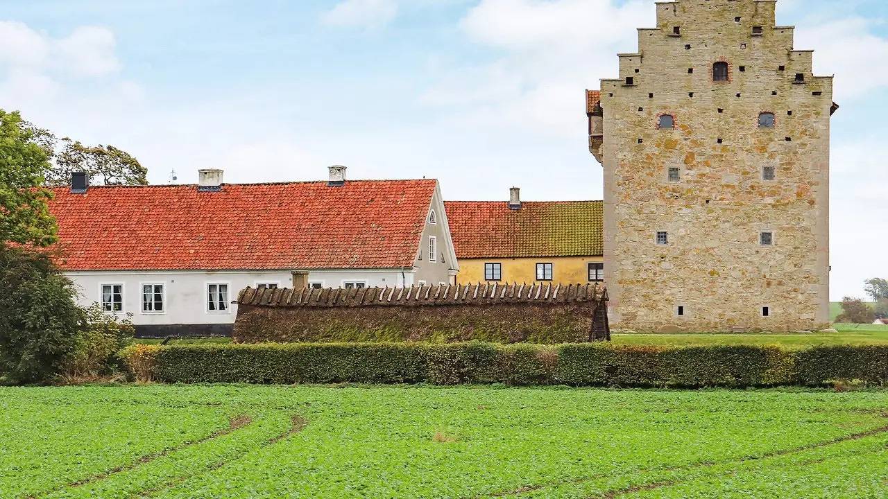 Ferienhaus für 10 Personen (130 m²) in Hammenhög in Österlen